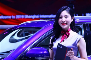 Shanghai, as a rapidly developing South Asian country, faces many challenges and opportunities in the integration of urban and rural governance. In recent years, with the rapid economic growth and the